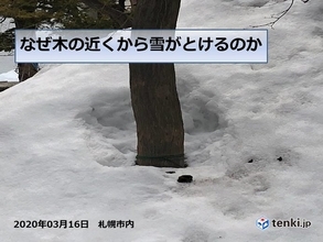 北海道　今週は季節先取りの陽気も