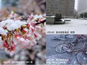 桜に雪　冬と春が同居の3月　初夏の天候と梅雨入りは?