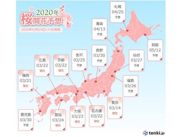 宮崎 松山で桜開花 気温上昇 朝と正午の差10度も 年3月25日 エキサイトニュース