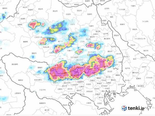 東京都練馬区付近 約100ミリの大雨 17年8月30日 エキサイトニュース