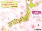 「桜前線は北海道に　窓や庭先から春をお楽しみください」の画像1