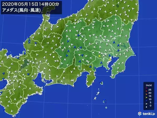 関東地方　南風　最大瞬間風速10メートル超も