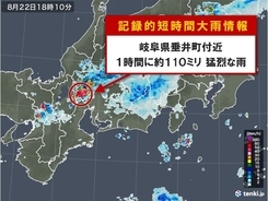 岐阜県で約110ミリ 記録的短時間大雨情報