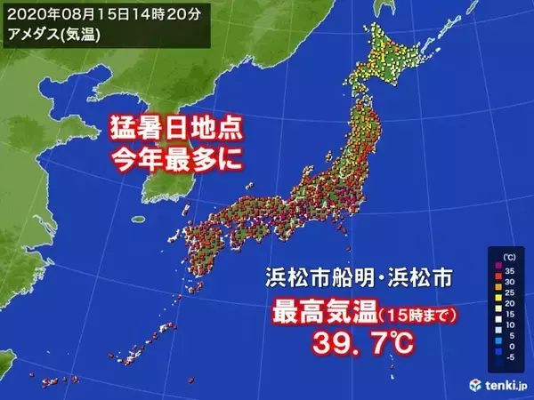 猛暑日地点　今年最多の270地点超　39℃台の暑さも