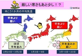 椅子の高さ で日本を非難した韓国メディア 18年2月26日 エキサイトニュース