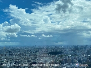 関東南部で雨雲が発達中　都内も急な激しい雨に注意