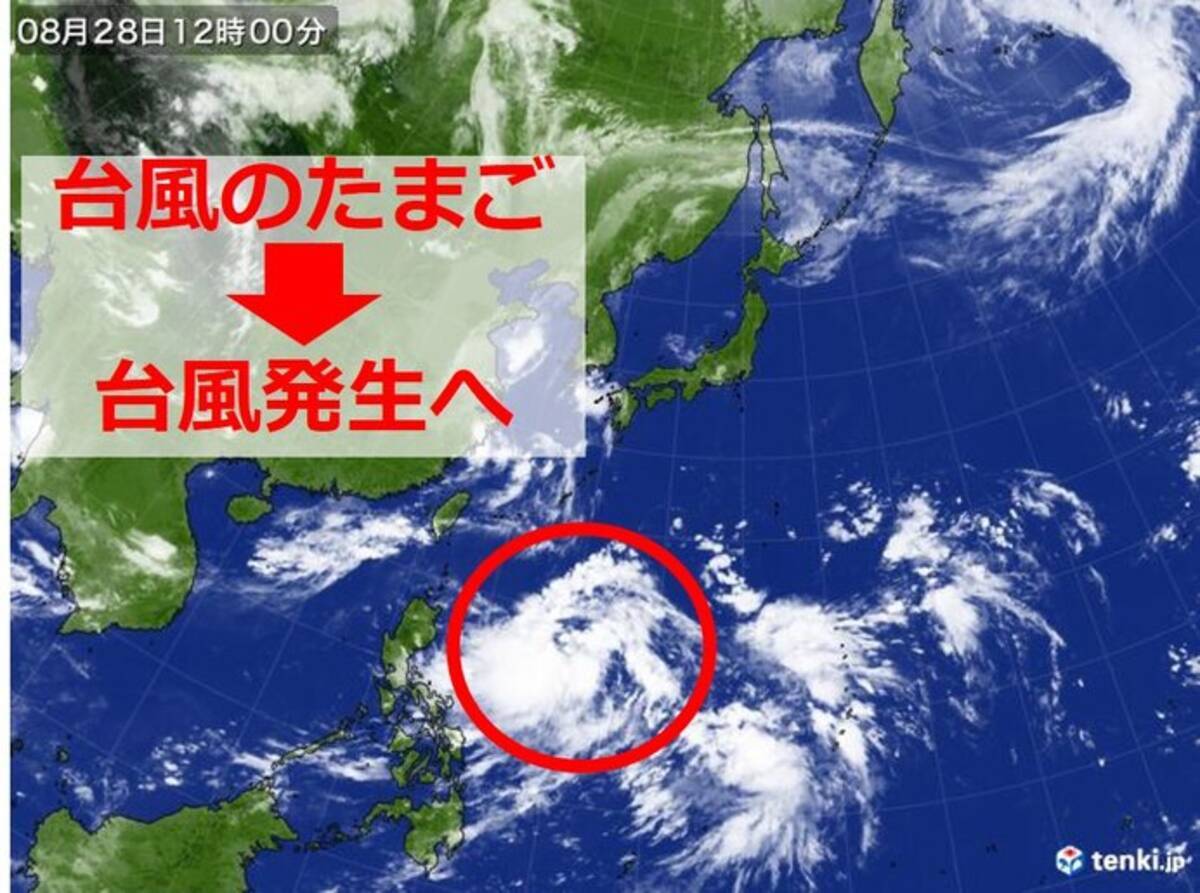 南の海に 台風のたまご 台風に発達して 日曜から日本列島に影響か 年8月28日 エキサイトニュース