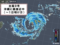 台風9号　久米島空港　瞬間風速50メートル超