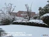 「河口湖で積雪22センチ　関東平野部でも雪の範囲が広がる」の画像5
