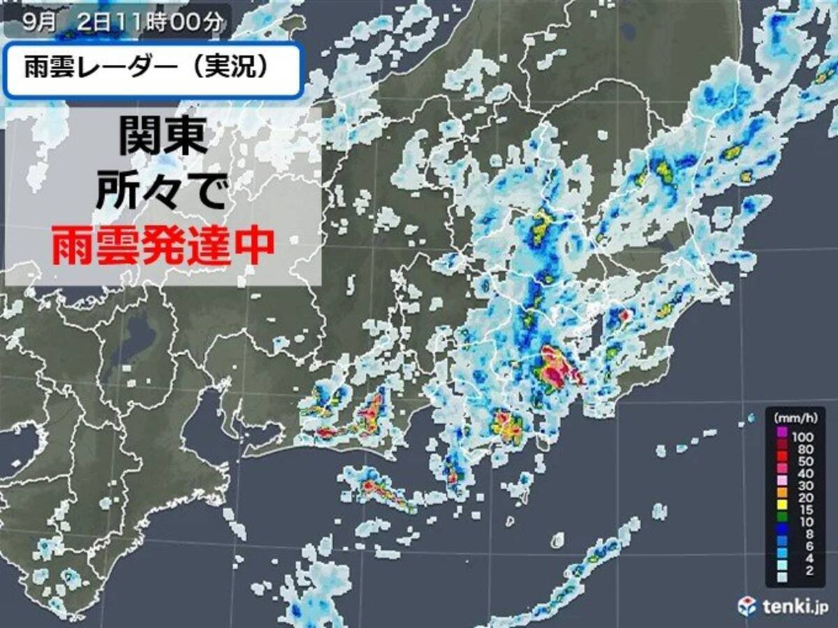 2日金曜 関東で雨雲発達中 午後も南部を中心に雨や雷雨 帰宅時間に傘が必要な所も 22年9月2日 エキサイトニュース