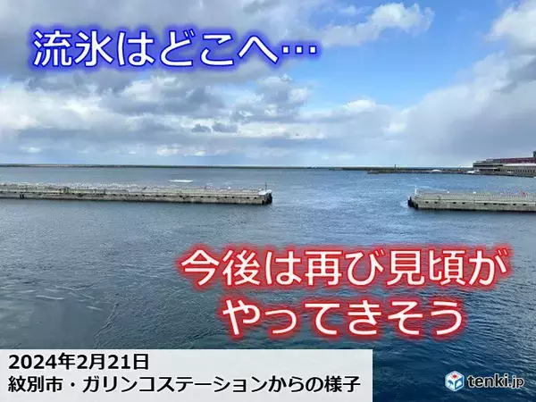 北海道の流氷情報　紋別の流氷も戻ってきそう　見頃はいつまで?