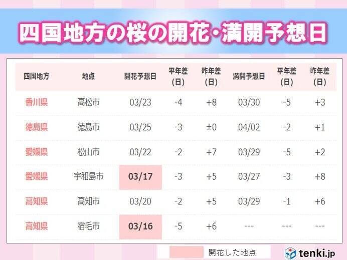 四国　桜の便り届き始める　ただこの先は花冷えに注意