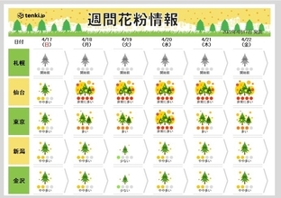花粉シーズン終盤も　東海・関東・東北はまだ「非常に多く」飛ぶ日あり　対策いつまで