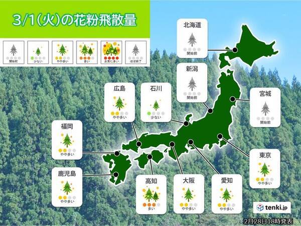 1日の花粉情報 雨でも飛散 油断せずに対策を 22年3月1日 エキサイトニュース