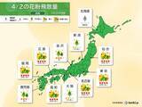 「花粉情報　東京都内などヒノキ花粉が中心に　4月中旬までピーク続く」の画像1