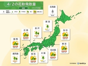 花粉情報　東京都内などヒノキ花粉が中心に　4月中旬までピーク続く