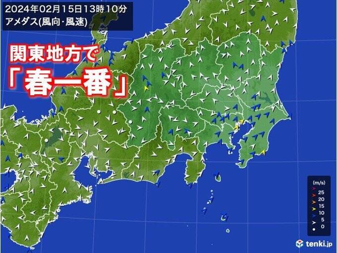 関東地方で「春一番」　昨年より14日早く