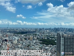 東京都心から見た空　もくもく積乱雲が並ぶ　千葉県で雨雲発達中