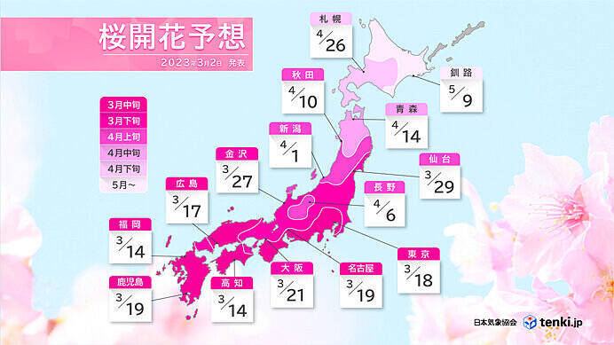東京都心　最高気温20℃以上続く　GW頃の暖かさで桜のつぼみ一気に膨らむ?!