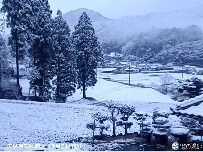 本州の山を中心に積雪増　3月としては記録的な大雪も　高知県の国見山で初冠雪