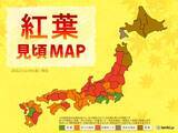 「紅葉見頃MAP　東日本・西日本でも色づき進む　週末は秋晴れの所も上着を準備して」の画像1