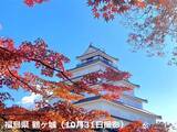 「紅葉見頃MAP　東日本・西日本でも色づき進む　週末は秋晴れの所も上着を準備して」の画像2