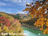 「紅葉見頃MAP　東日本・西日本でも色づき進む　週末は秋晴れの所も上着を準備して」の画像3