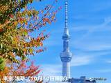 「紅葉見頃MAP　東日本・西日本でも色づき進む　週末は秋晴れの所も上着を準備して」の画像5