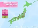 「今日13日　長野で桜満開発表　明日もお花見日和」の画像2