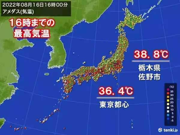 猛暑日5日ぶりに100地点超え　関東では38℃台の体温超えの暑さも