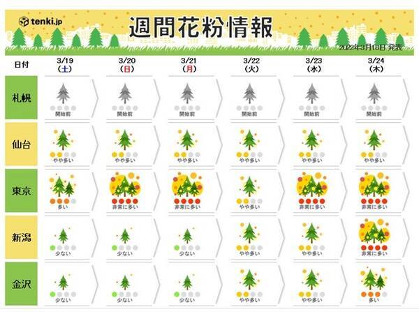 花粉情報 スギ花粉からヒノキ花粉へ 雨のあと大量飛散 ピーク終了時期の見通し 22年3月18日 エキサイトニュース 花粉情報 スギ花粉からヒノキ花粉へ 雨のあと大量飛散 ピーク終了時期の見通し 22年3月18日 エキサイトニュース
