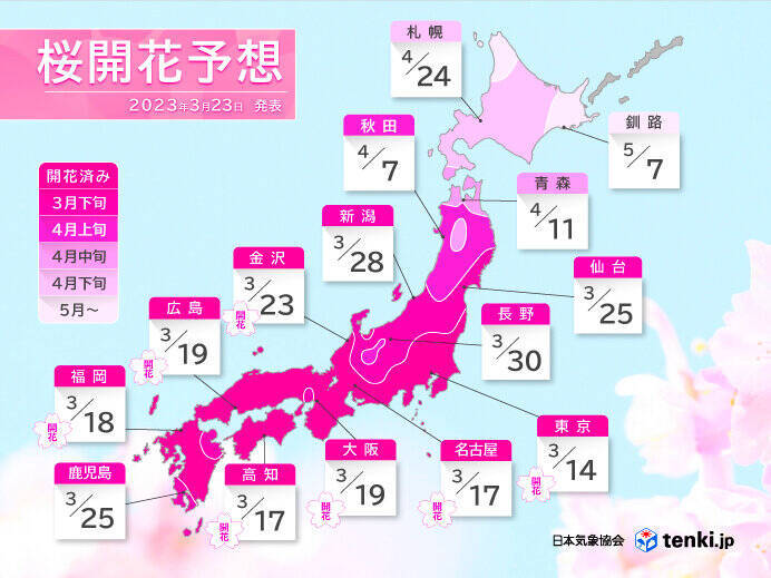 1か月予報　高温続き、桜開花・満開早まる　東・北日本の太平洋側など雨量多く