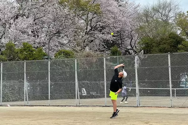 「第43回むさしの村チェリージュニアテニストーナメント」 14歳以下男子シングルスは冨山瑞希らが4強入り、女子は岡田帆加が制覇