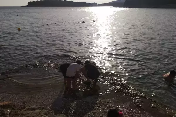 「テニス以上の何かが得られる！　アルカラスやティエムも出場した10歳以下のジュニア世界大会「スムリクバボウル」について徹底紹介！〈前編〉」の画像