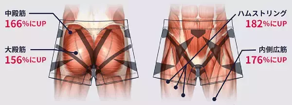 「姿勢が変われば、一歩目が変わる。“低筋圧理論”インナーウェア『デリットテック』の実力」の画像