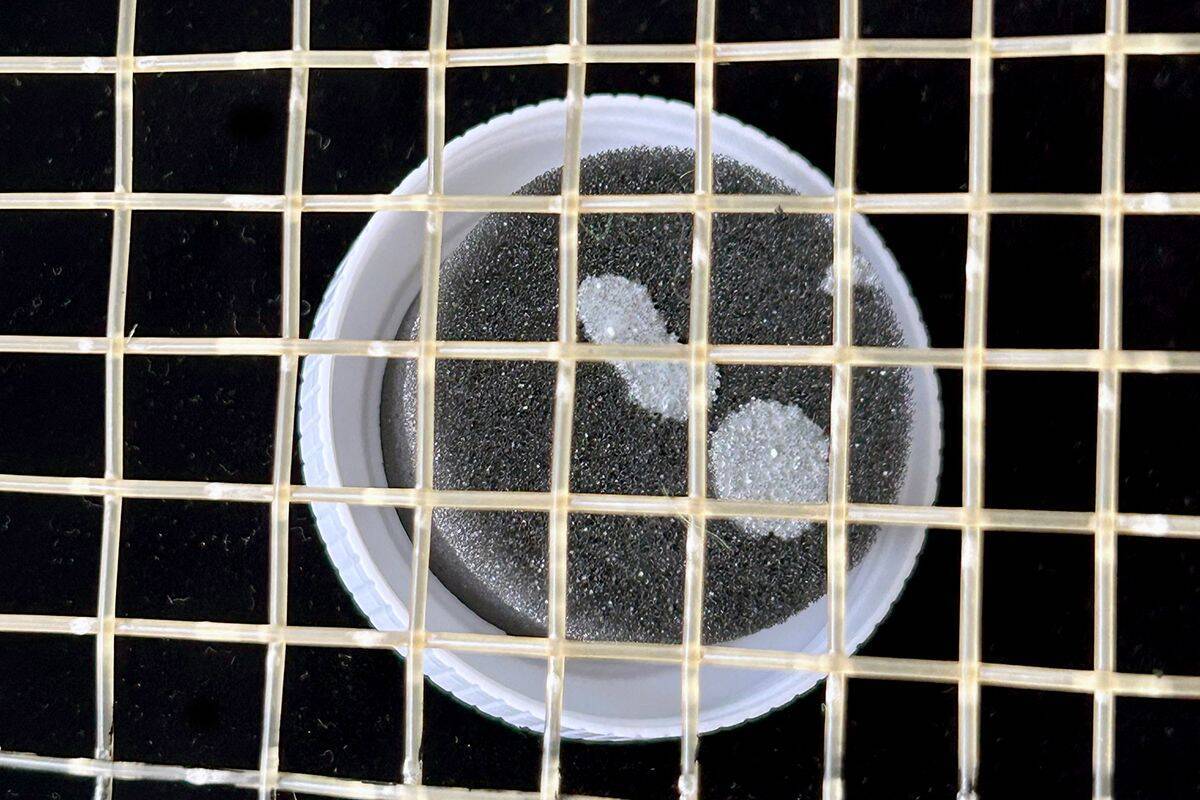 試合に勝ちたい人のための、隠れたロングセラー。ストリングの動きを活性化する【TENNIC『String Glide』　／GEAR SELECTION TENNIS EYE】