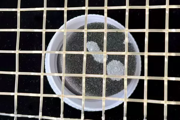 「試合に勝ちたい人のための、隠れたロングセラー。ストリングの動きを活性化する【TENNIC『String Glide』　／GEAR SELECTION TENNIS EYE】」の画像