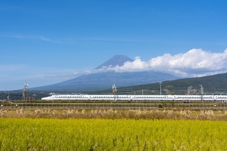 JR旅客6社がお盆期間の指定席予約状況を発表　東海道・山陽新幹線の「のぞみ」号は全席指定で運行