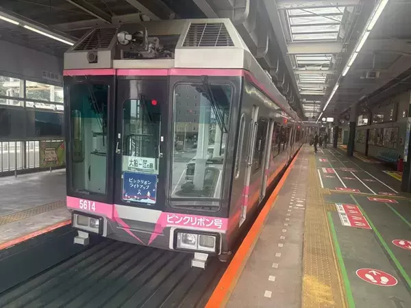 乳がんの早期発見のために検診受診を！　湘南モノレールで「ピンクリポン号」運転（神奈川県鎌倉市など）