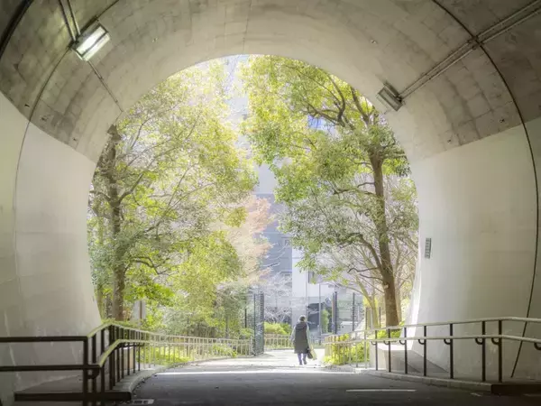 「2026年GW 東急沿線おでかけガイド！家族やカップルで楽しめる穴場レジャーやアスレチック、博物館、公園などまとめ【2026年】」の画像