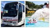 「東京八重洲・バスタ新宿からサマーランドへ直行バス運行！ おトクな1Dayパスで夏のプールと推し活を楽しもう！（2026年8/1～31）」の画像1