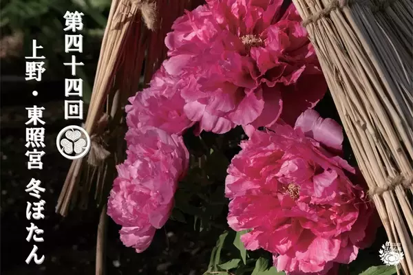 「元旦から楽しめる上野で“馬”の名品！東照宮の「冬ぼたん」から博物館の国宝公開や限定御朱印、商業施設の営業情報まとめ（2026年初詣）」の画像