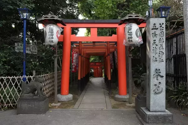 「元旦から楽しめる上野で“馬”の名品！東照宮の「冬ぼたん」から博物館の国宝公開や限定御朱印、商業施設の営業情報まとめ（2026年初詣）」の画像