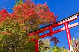 首都圏･近郊の紅葉名所10選【2025年版】高尾山や渓谷･公園･登山スポットまで、ライトアップやアクセス情報のまとめ