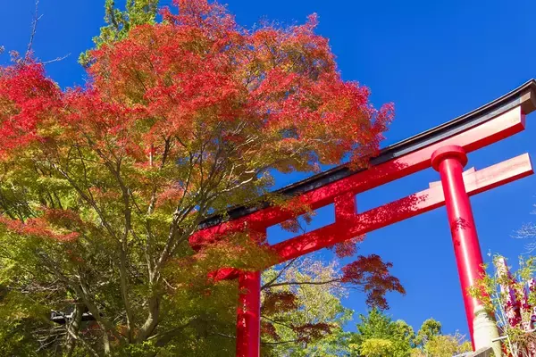 首都圏･近郊の紅葉名所10選【2025年版】高尾山や渓谷･公園･登山スポットまで、ライトアップやアクセス情報のまとめ