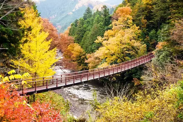 「首都圏･近郊の紅葉名所10選【2025年版】高尾山や渓谷･公園･登山スポットまで、ライトアップやアクセス情報のまとめ」の画像