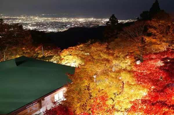 「首都圏･近郊の紅葉名所10選【2025年版】高尾山や渓谷･公園･登山スポットまで、ライトアップやアクセス情報のまとめ」の画像