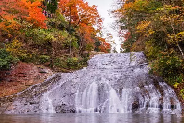 「首都圏･近郊の紅葉名所10選【2025年版】高尾山や渓谷･公園･登山スポットまで、ライトアップやアクセス情報のまとめ」の画像