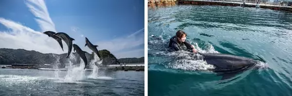 「温泉だけじゃない！バレンタインの時期に訪れたい「大分」の魅力を紹介　「縁結び」スポットや夕陽の溶ける海、絶品スイーツ情報も」の画像