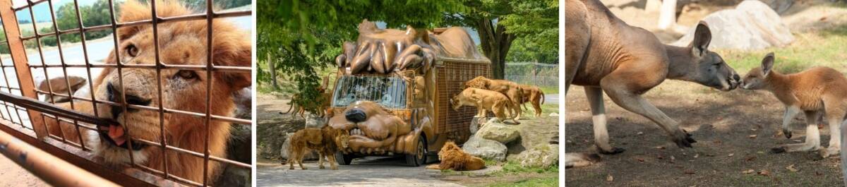 温泉だけじゃない！バレンタインの時期に訪れたい「大分」の魅力を紹介　「縁結び」スポットや夕陽の溶ける海、絶品スイーツ情報も